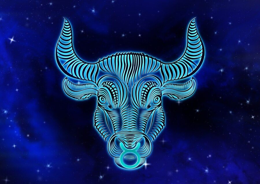 Symbol - hlava býka